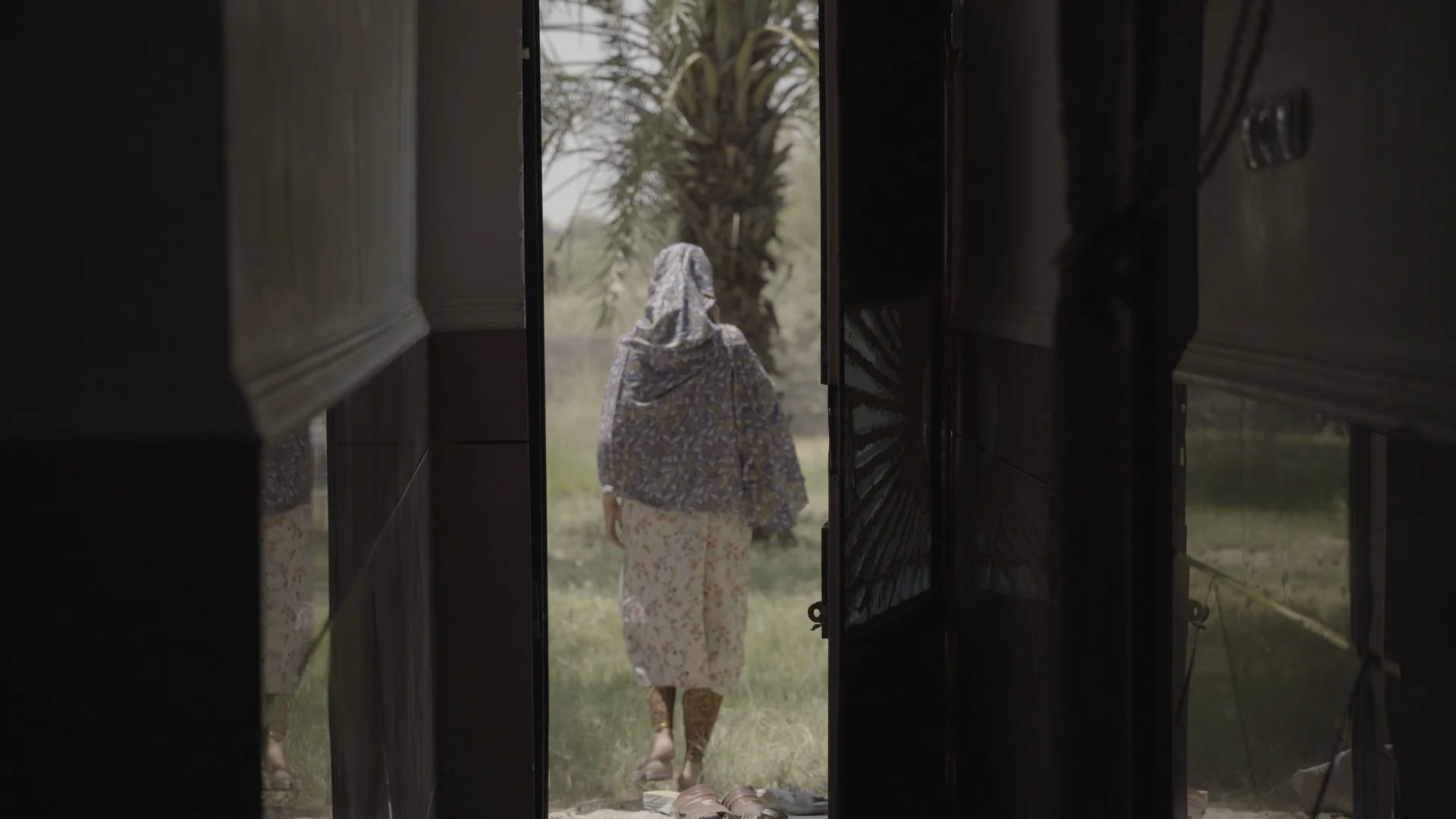 Dandelions — CURATED FILM STILL