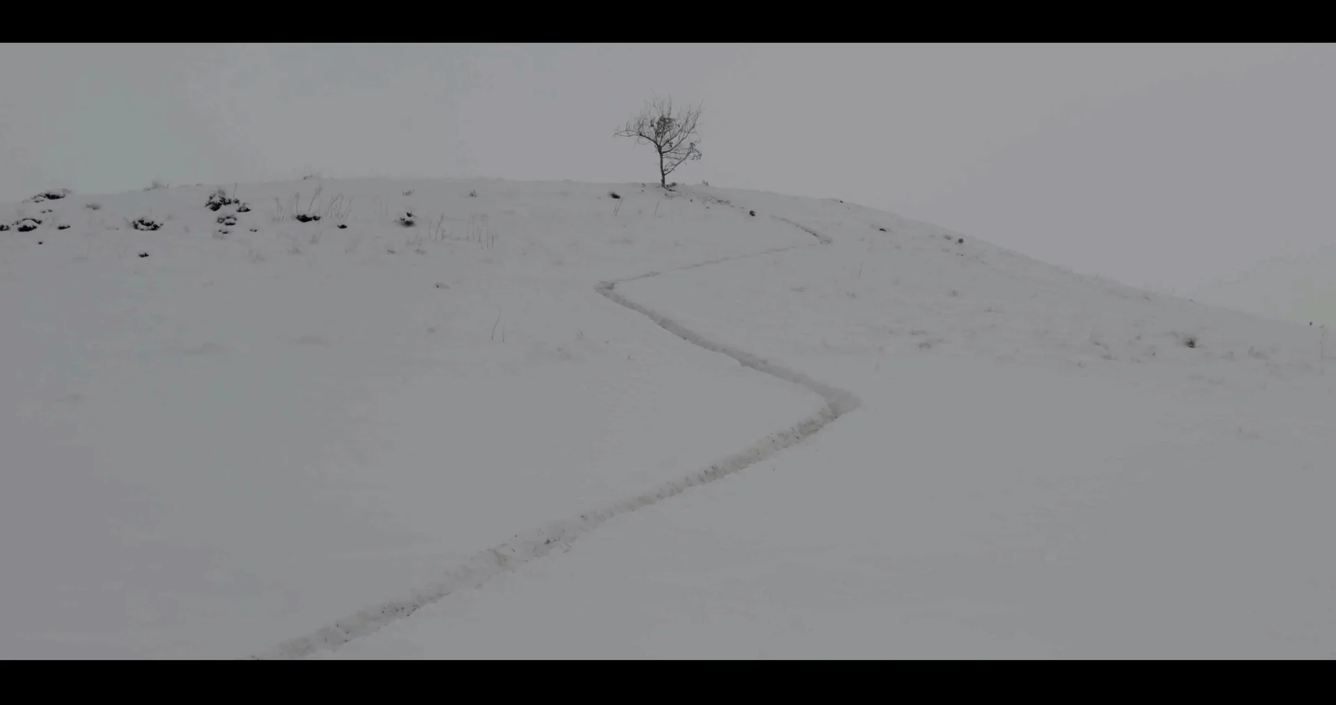 Lion Hill — CURATED FILM STILL